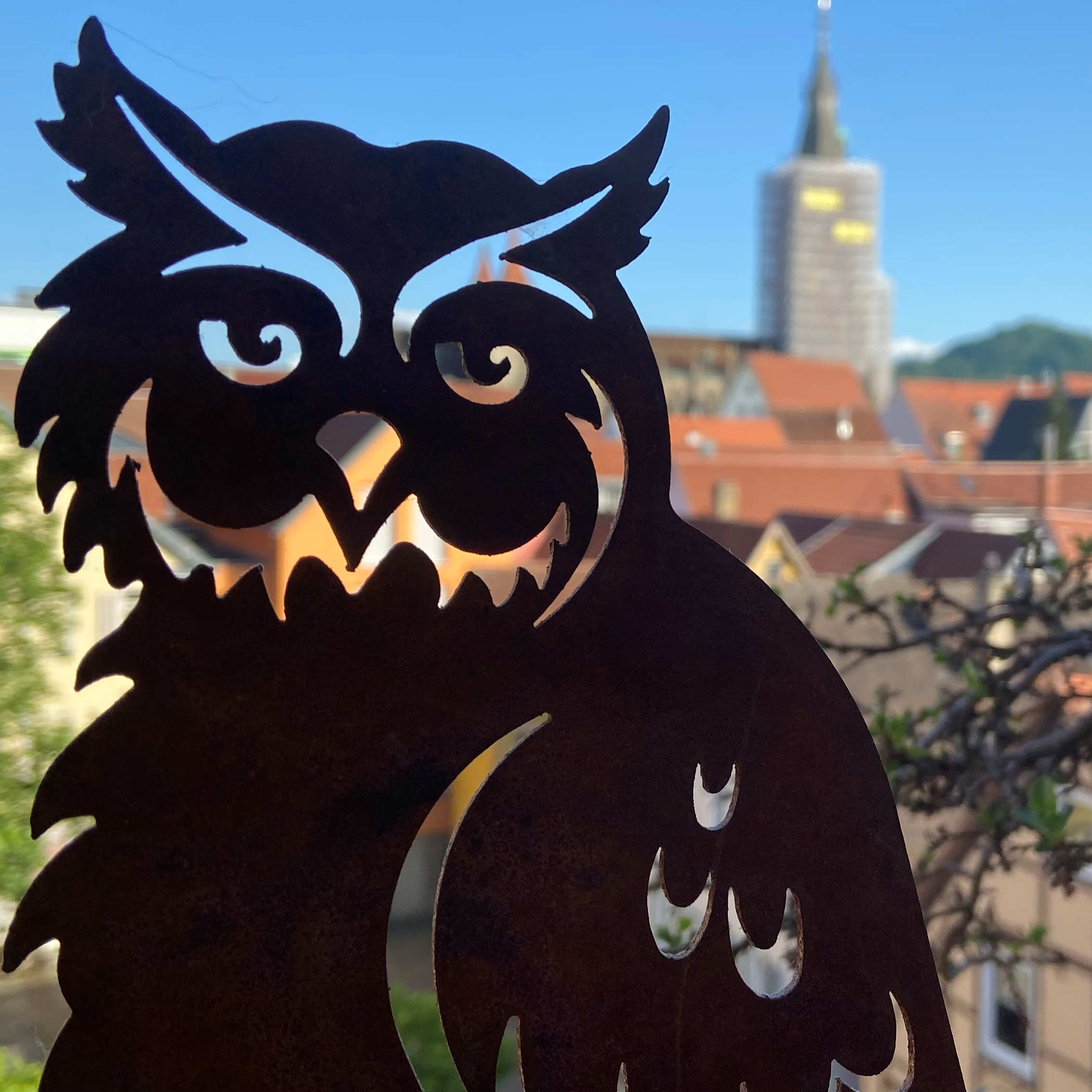 Der Uhu schwebt auch über Reutlingen